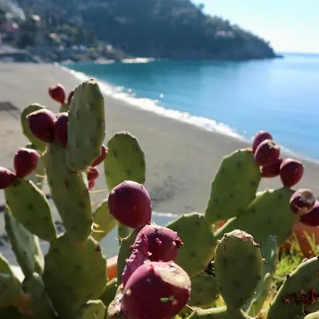 Il Nido Da Chiara Guest house La Spezia