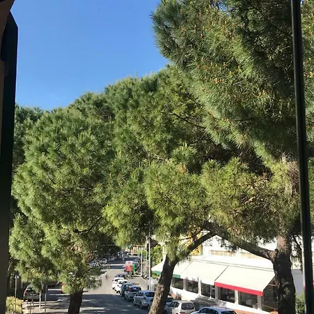 Guest house Il Nido Da Chiara